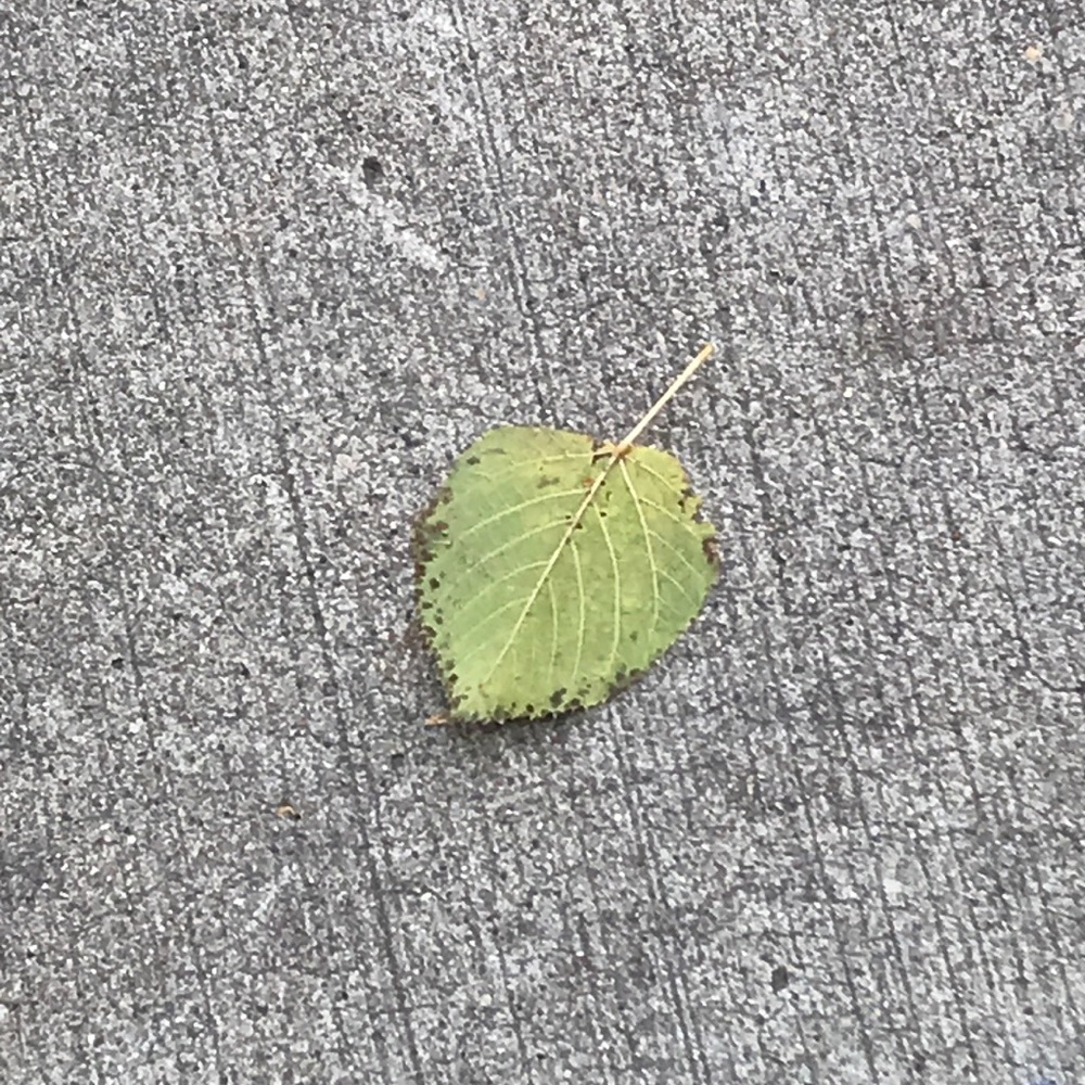 Meet your Posher, Jill